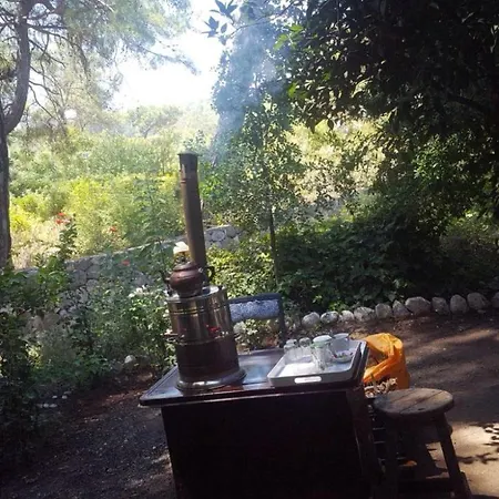 Rosery Karakalem