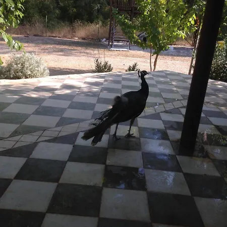 Rosery Karakalem Ubytování v soukromí Olympos